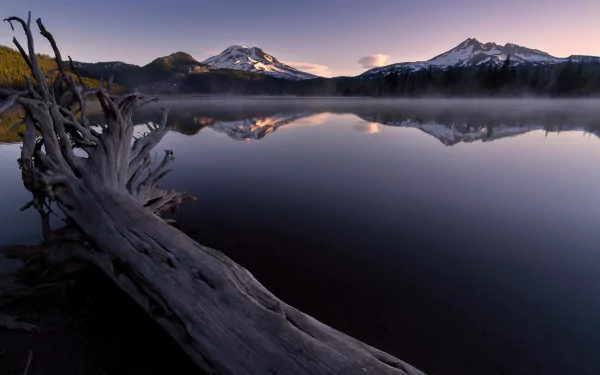HD desktop wallpaper of a serene mountain lake at dusk, with driftwood in the foreground and crystal-clear reflections of snow-capped peaks in the calm water.