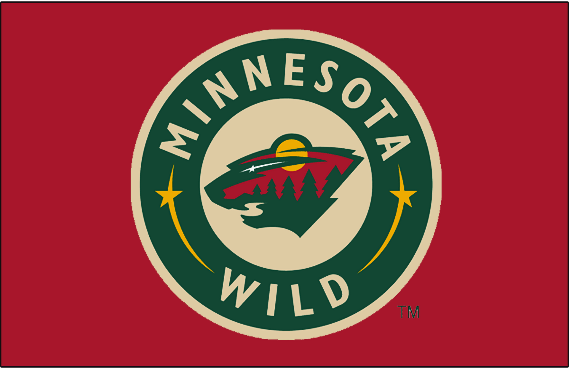 Minnesota Wild HD Wallpaper – Bold Sports Emblem Showcase, image size:1920x1246
