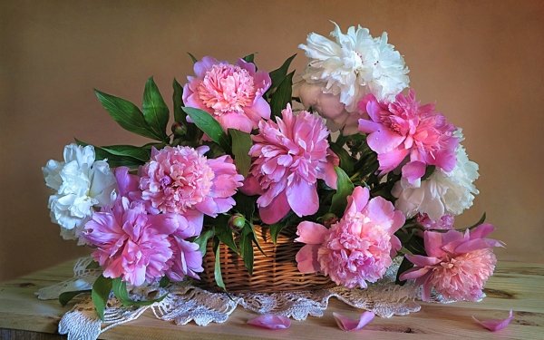 Man Made Flower Peony Basket White Flower Pink Flower HD Wallpaper | Background Image