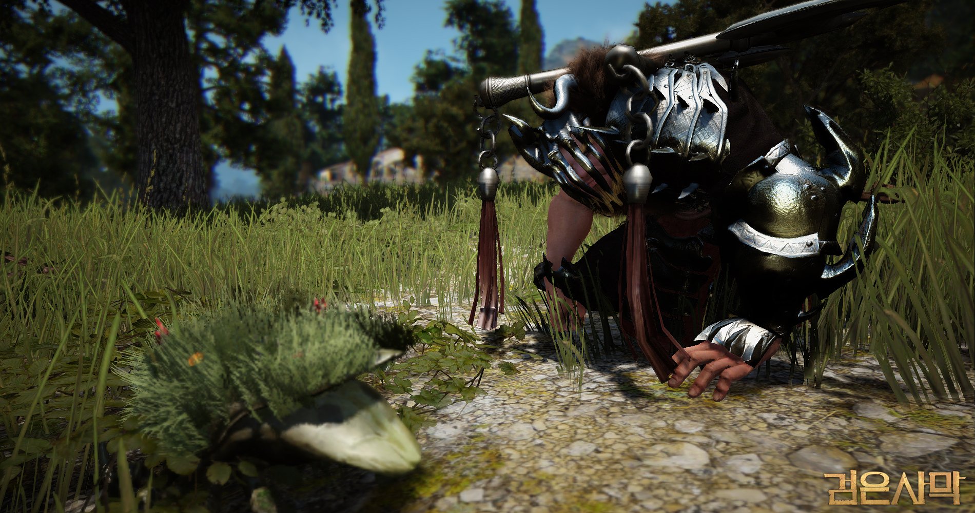 Download Video Game Black Desert Online Wallpaper