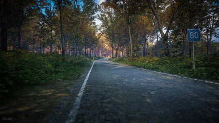 4K Ultra HD PC desktop wallpaper from theHunter: Call of The Wild video game featuring a forest road bathed in soft sunlight, showcasing detailed natural scenery.