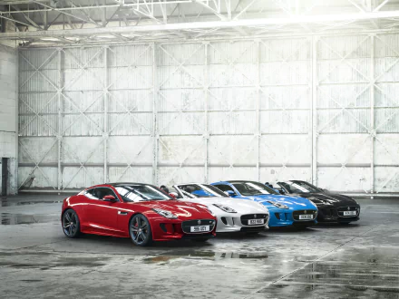 A lineup of Jaguar F-Type vehicles in red, white, blue, and black showcased inside a spacious industrial garage, captured in 4K Ultra HD.