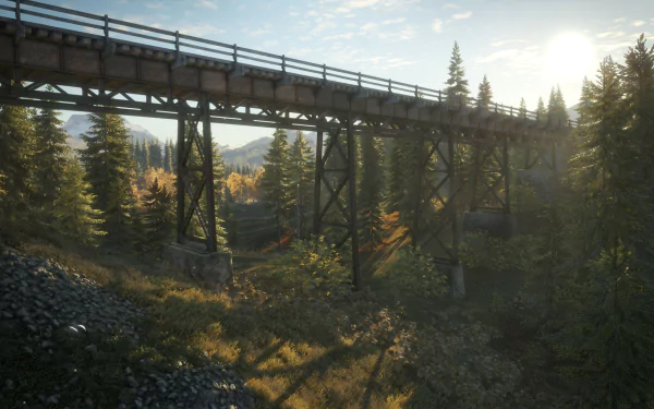HD PC desktop wallpaper from the video game theHunter: Call of The Wild — sunlit forest valley with a wooden trestle bridge and tall pines.