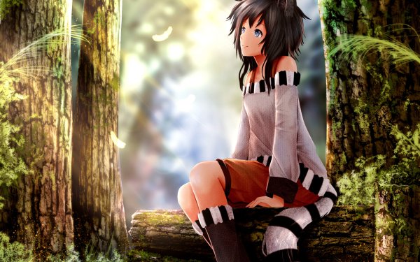 Anime Original Nekomimi Black Hair Tree Blue Eyes Tail HD Wallpaper | Background Image