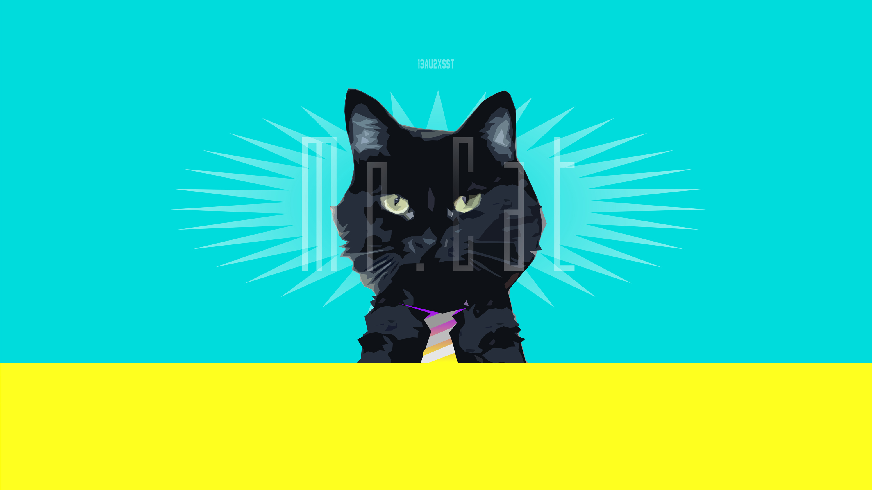 Tiere Katze HD Wallpaper | Hintergrund