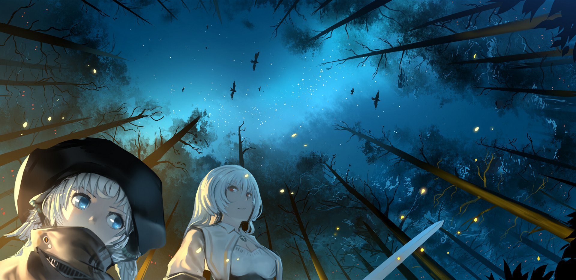 Anime Pixiv Fantasia RD HD PC wallpaper: two girls in a moonlit, firefly-lit forest under a starry blue sky, one with white hair and a drawn sword.