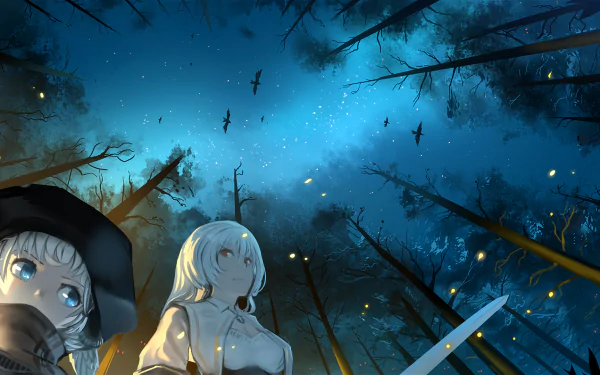 Anime Pixiv Fantasia RD HD PC wallpaper: two girls in a moonlit, firefly-lit forest under a starry blue sky, one with white hair and a drawn sword.