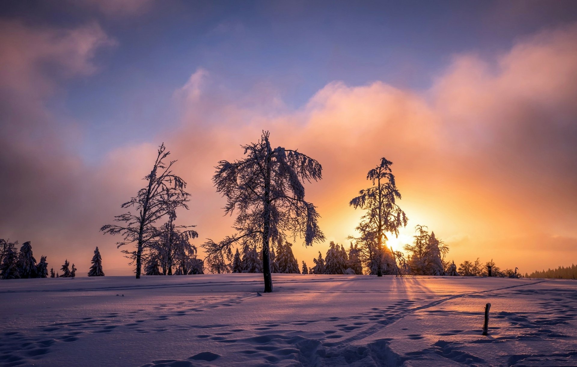 Download Sunset Snow Tree Nature Winter Hd Wallpaper