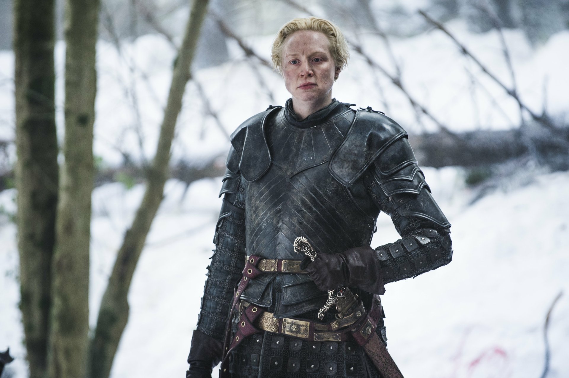 Download Gwendoline Christie Brienne Of Tarth TV Show Game Of Thrones 4k Ultra HD Wallpaper