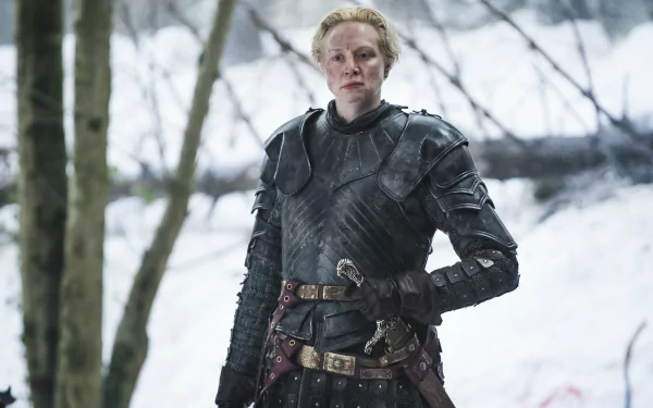 Gwendoline Christie Brienne Of Tarth TV Show Game Of Thrones HD Desktop Wallpaper | Background Image