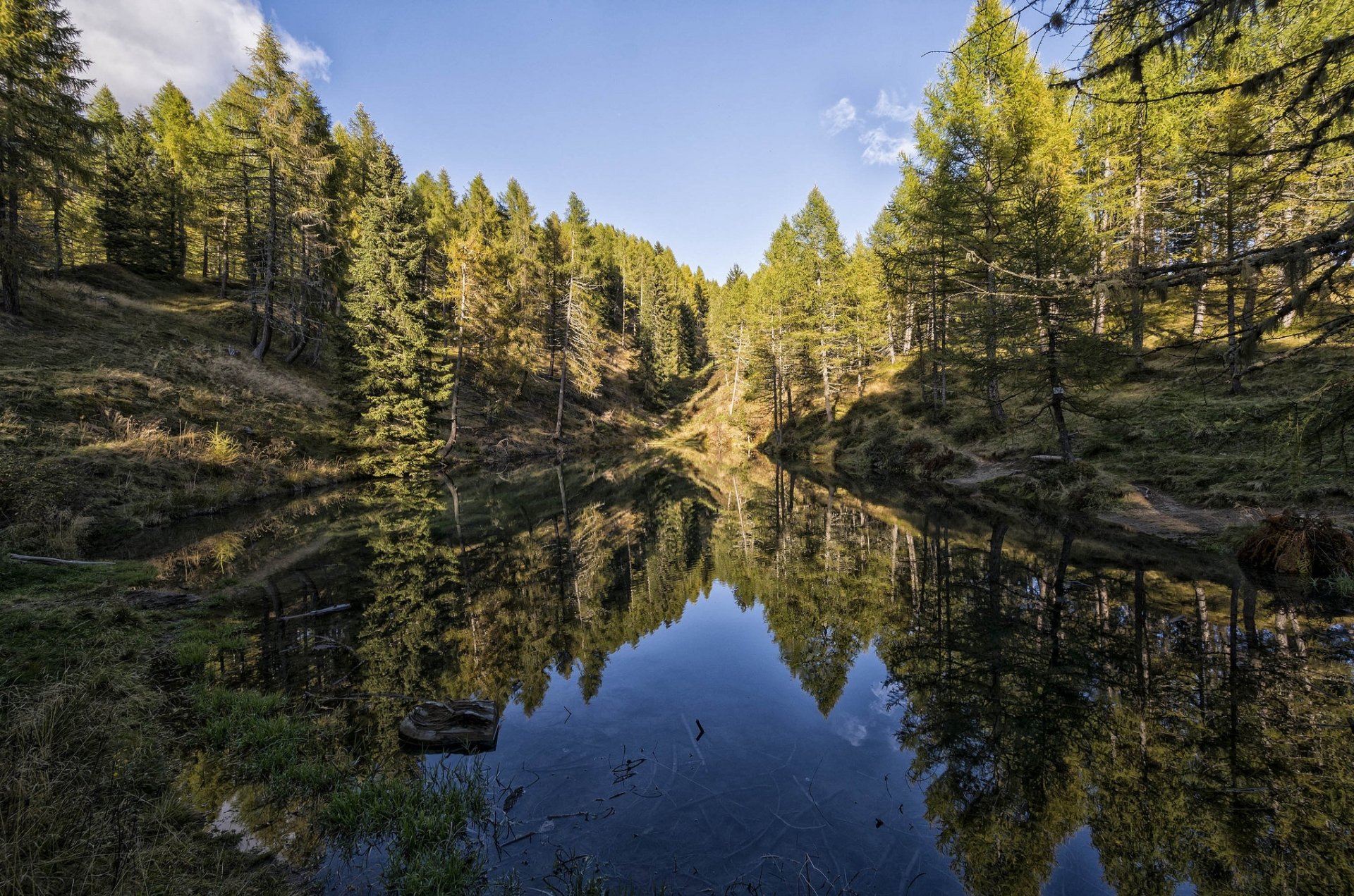 HD PC desktop wallpaper: a tranquil forest lake reflecting tall trees, a nature scene of conifers and clear blue sky mirrored in still water.