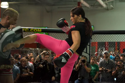 mixed martial arts Sports HD Desktop Wallpaper | Background Image