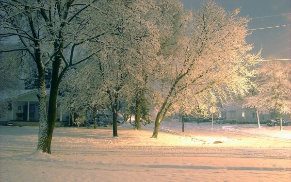 Photography Winter Snow Tree House HD Wallpaper | Background Image