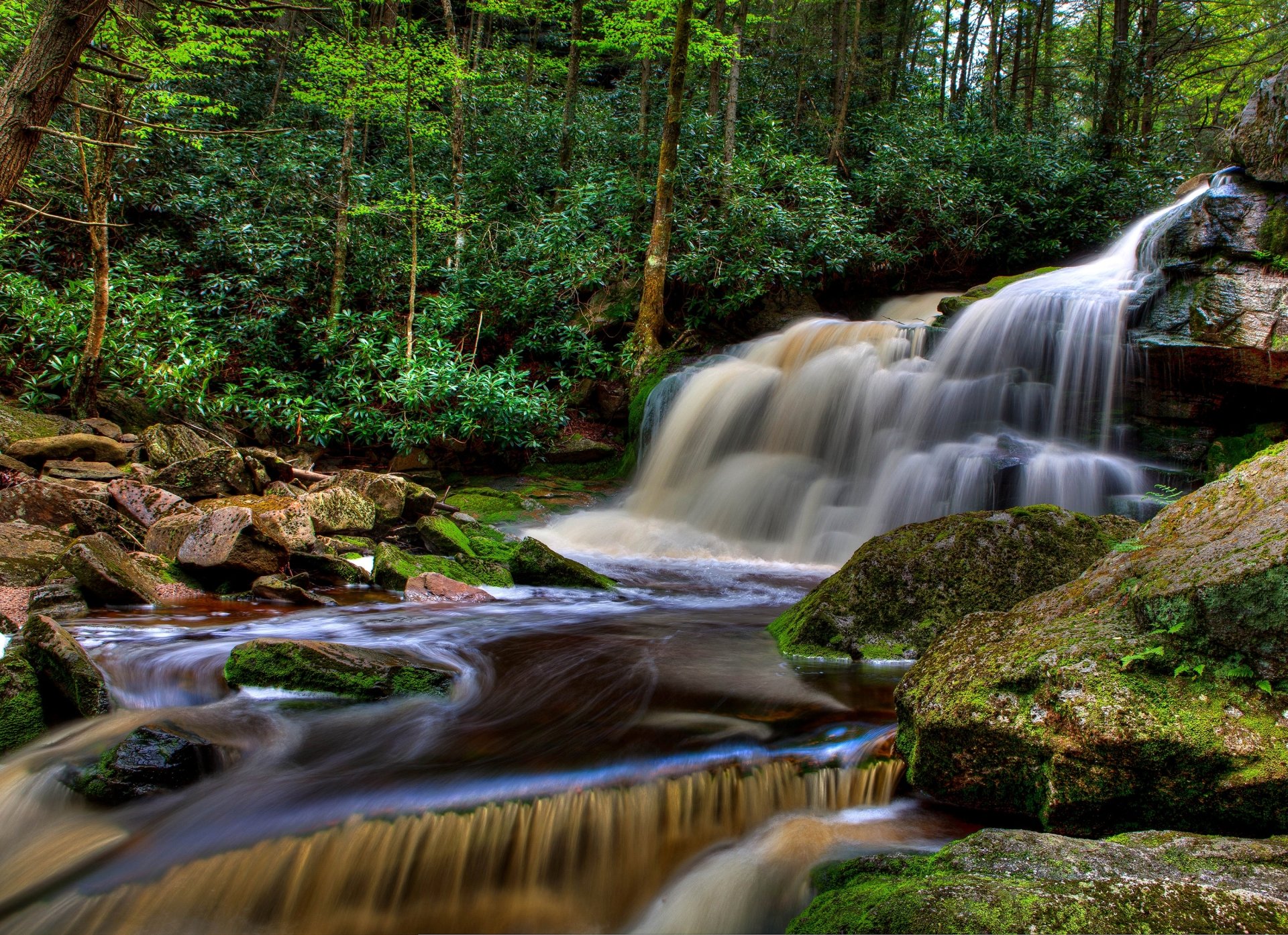 Foamy waterfall tumbling over mossy rocks in a dense forest, with a flowing stream — 2K Quad HD PC desktop wallpaper/background.