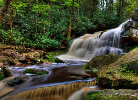 foam forest nature waterfall HD Desktop Wallpaper | Background Image