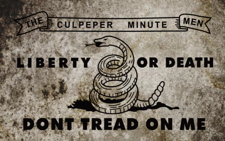 Misc gadsden flag HD Desktop Wallpaper | Background Image