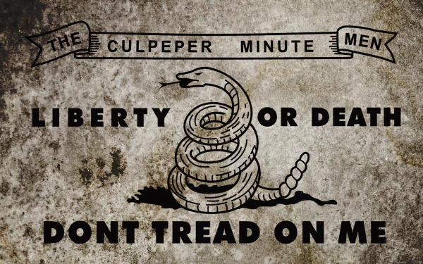 Misc gadsden flag HD Desktop Wallpaper | Background Image