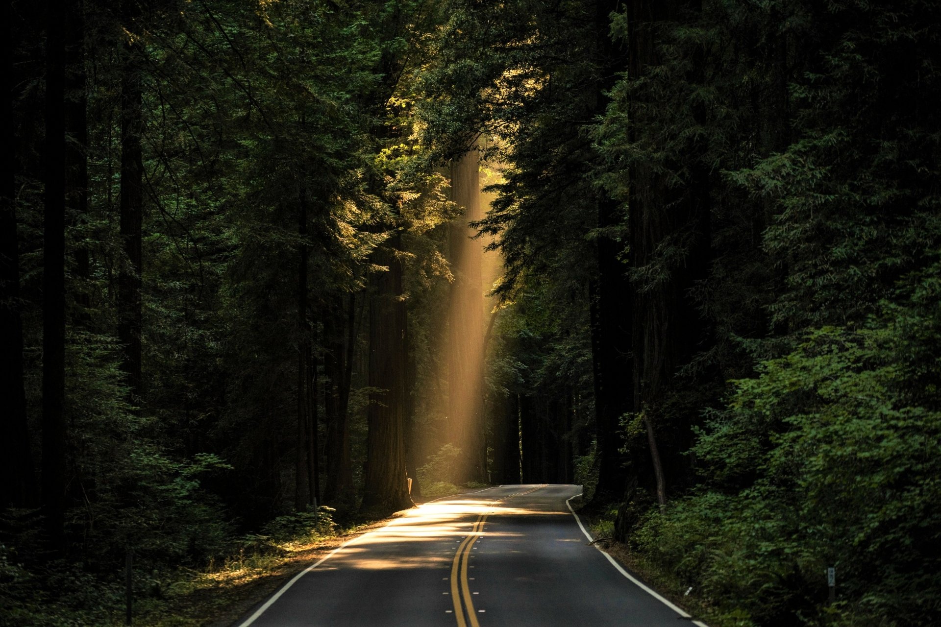 Download Nature Sunbeam Forest Man Made Road HD Wallpaper