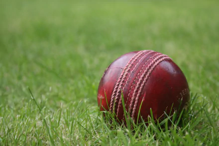 ball cricket Sports HD Desktop Wallpaper | Background Image