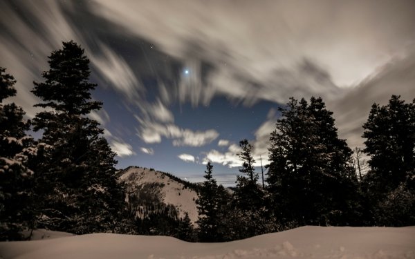 Earth Winter Night Snow Tree Forest Sky Cloud HD Wallpaper | Background Image