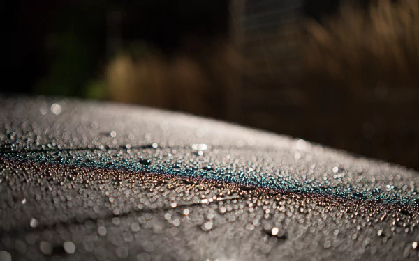 photography close-up HD Desktop Wallpaper | Background Image