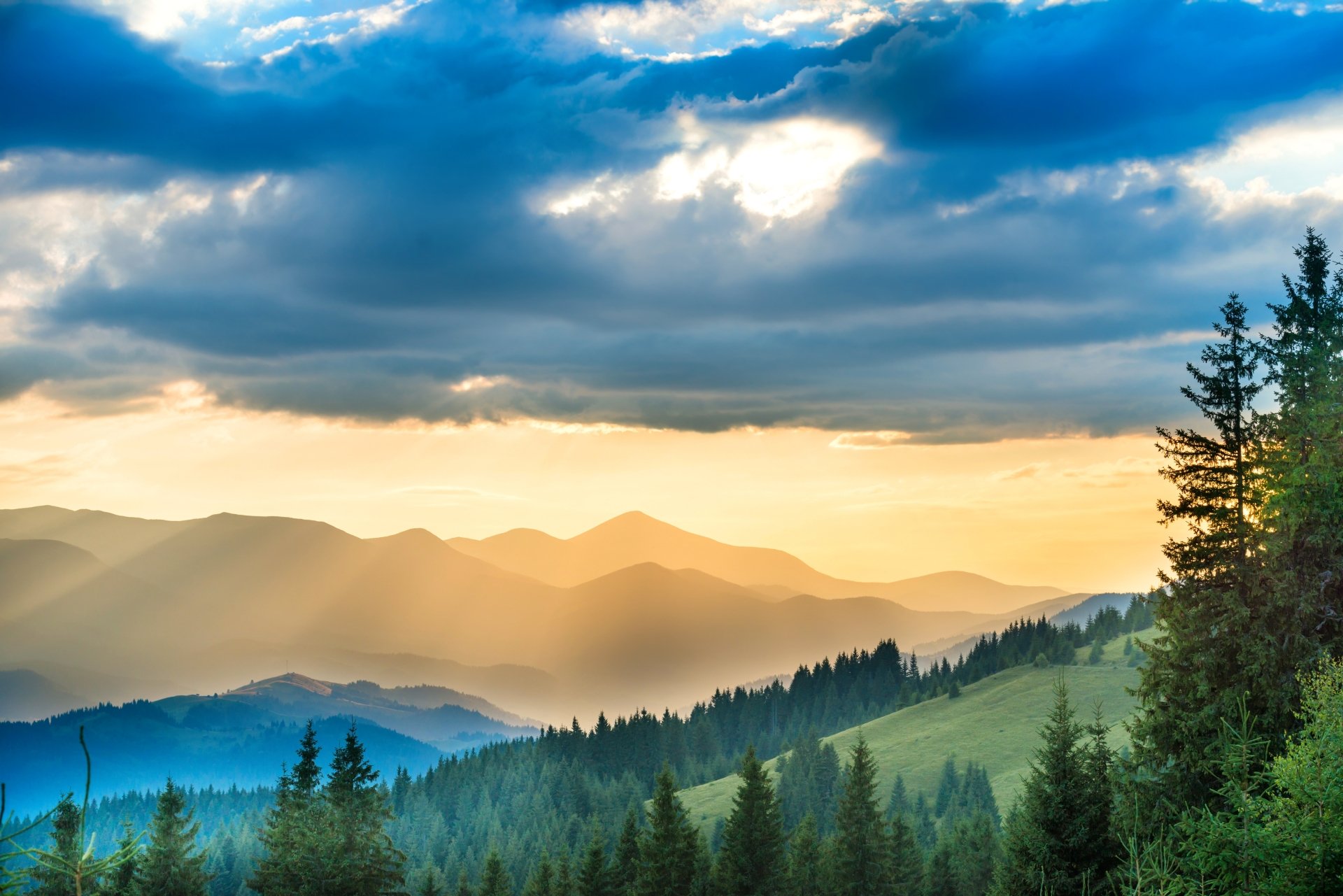 Download Mountain Cloud Sunbeam Forest Nature Landscape 4k Ultra HD ...