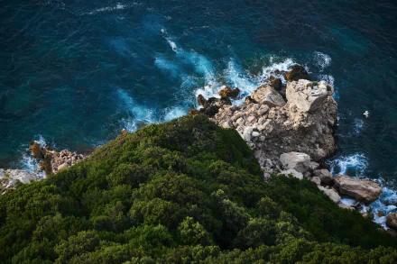  Looking Down on Rocky Shore