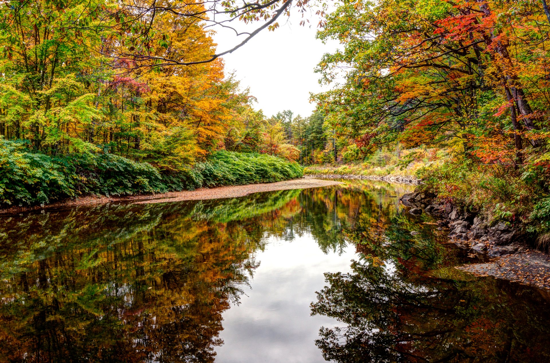 4K HDR Fall Forest Reflection on Serene River - Ultra HD Nature ...