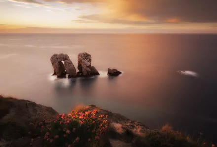 HD PC desktop wallpaper featuring a serene ocean view with rocky formations near the horizon, framed by soft clouds and vibrant coastal flowers in the foreground.