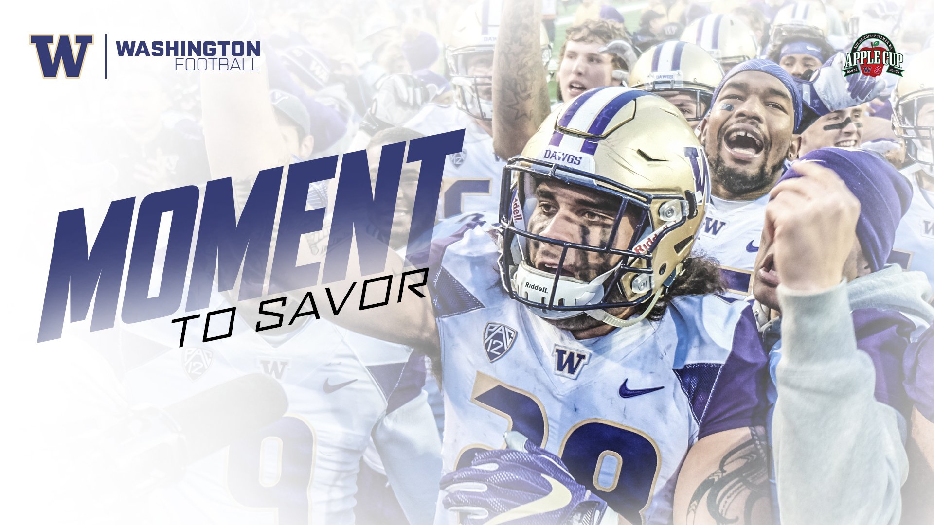 Download Football College Football Washington Huskies Sports HD Wallpaper