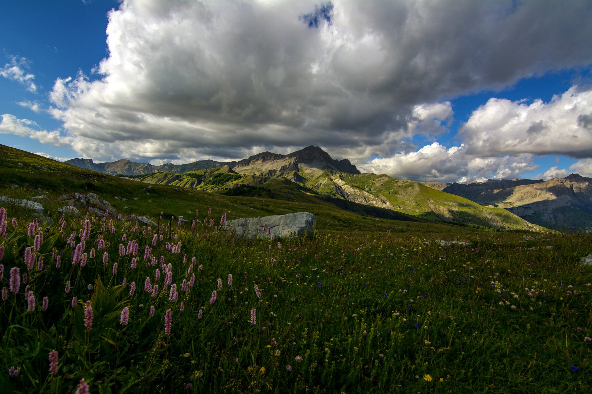 Download Wildflower Cloud Mountain Nature Landscape HD Wallpaper