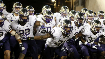 football college football Washington Huskies Sports HD Desktop Wallpaper | Background Image