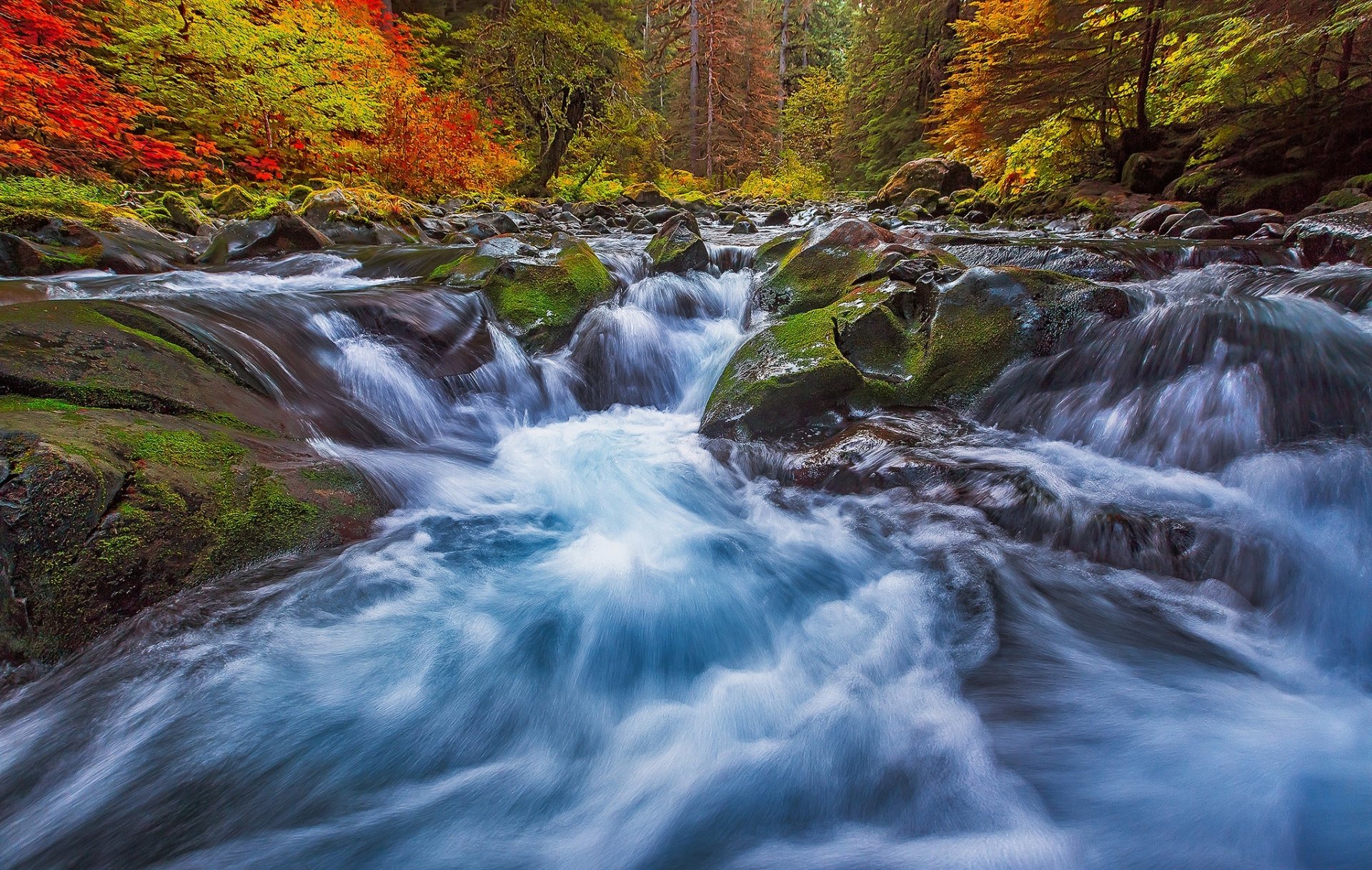 HD PC desktop wallpaper: foamy river rushing over mossy rocks through a vibrant autumn forest — a vivid nature background.