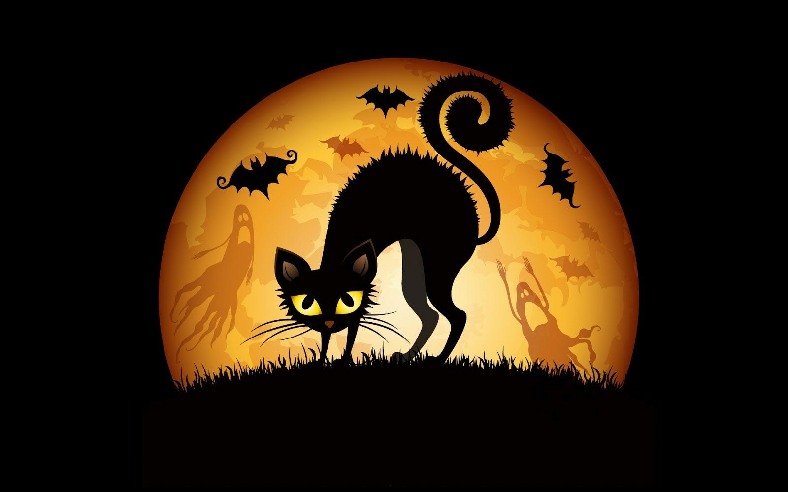HD Halloween-themed PC desktop wallpaper featuring a black cat with an arched back silhouetted against a large orange full moon with bats flying around.