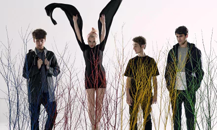HD wallpaper featuring the music group Clean Bandit, with members poised among colorful, tall grasses.