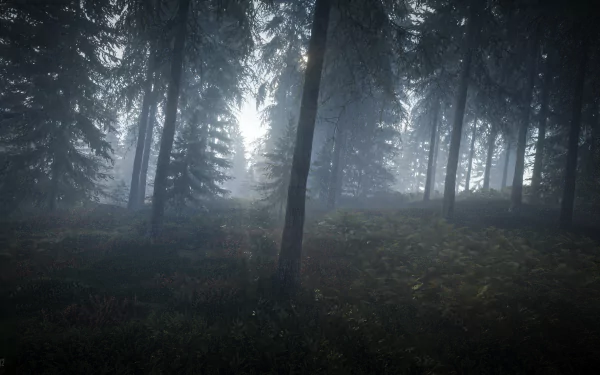 TheHunter: Call of the Wild / Misty Forest