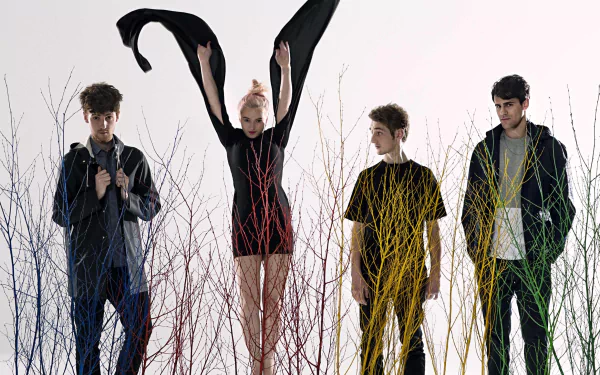HD wallpaper featuring the music group Clean Bandit, with members poised among colorful, tall grasses.