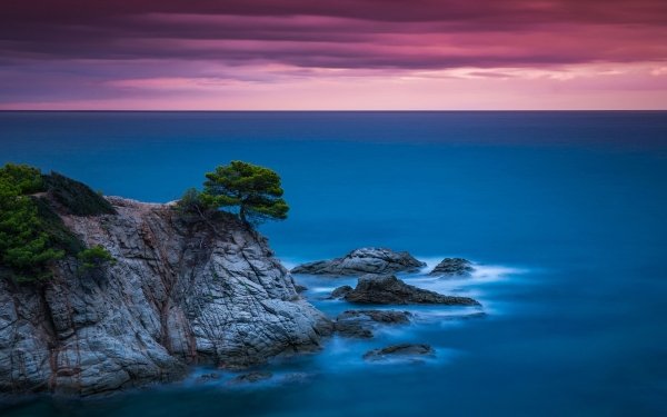 Nature Ocean Horizon HD Wallpaper | Background Image