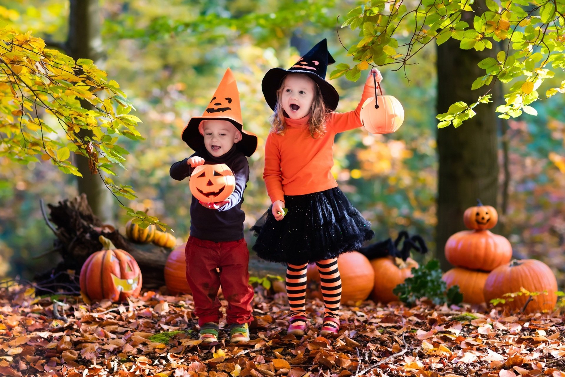 download-holiday-halloween-hd-wallpaper