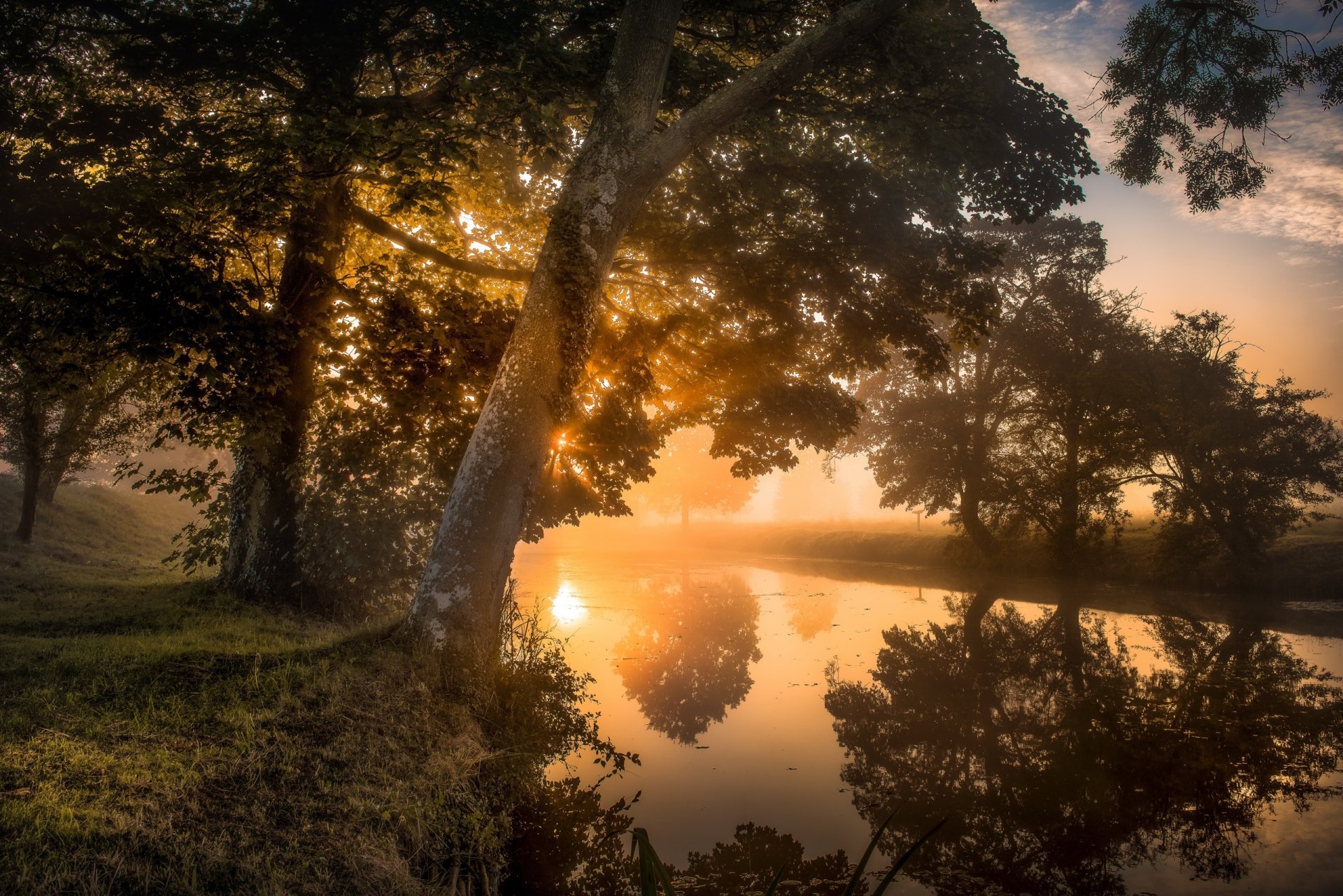 Download Fog Sunrise Tree Reflection Nature River HD Wallpaper