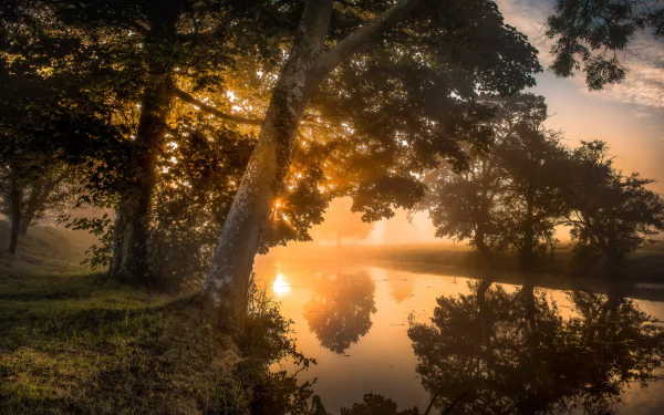 HD desktop wallpaper capturing a serene river at sunrise, with fog softly enveloping trees and their reflections in the calm water, showcasing tranquil nature.