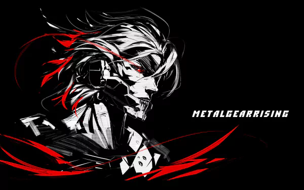 Raiden (Metal Gear) video game Metal Gear Rising: Revengeance HD Desktop Wallpaper | Background Image