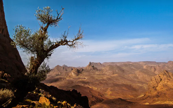 HD landscape of the Tassili N'Ajjer and Hoggar Mountains in Algeria's Sahara desert, showcasing rugged stone formations and a lone tree against a clear blue sky.