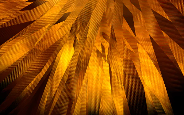  Golden Belts