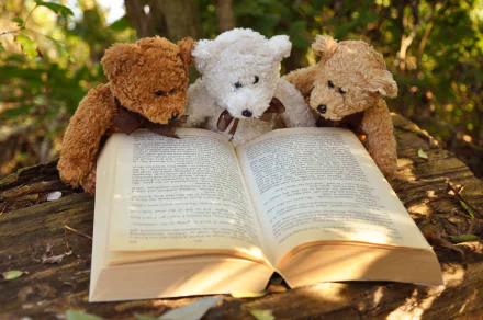 Three teddy bears sit closely around an open book on a tree stump, captured in vibrant 4K Ultra HD still life photography.
