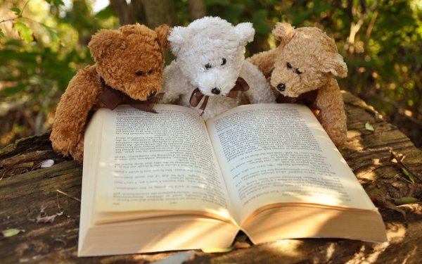 Photography Still Life Teddy Bear Stuffed Animal Book HD Wallpaper | Background Image