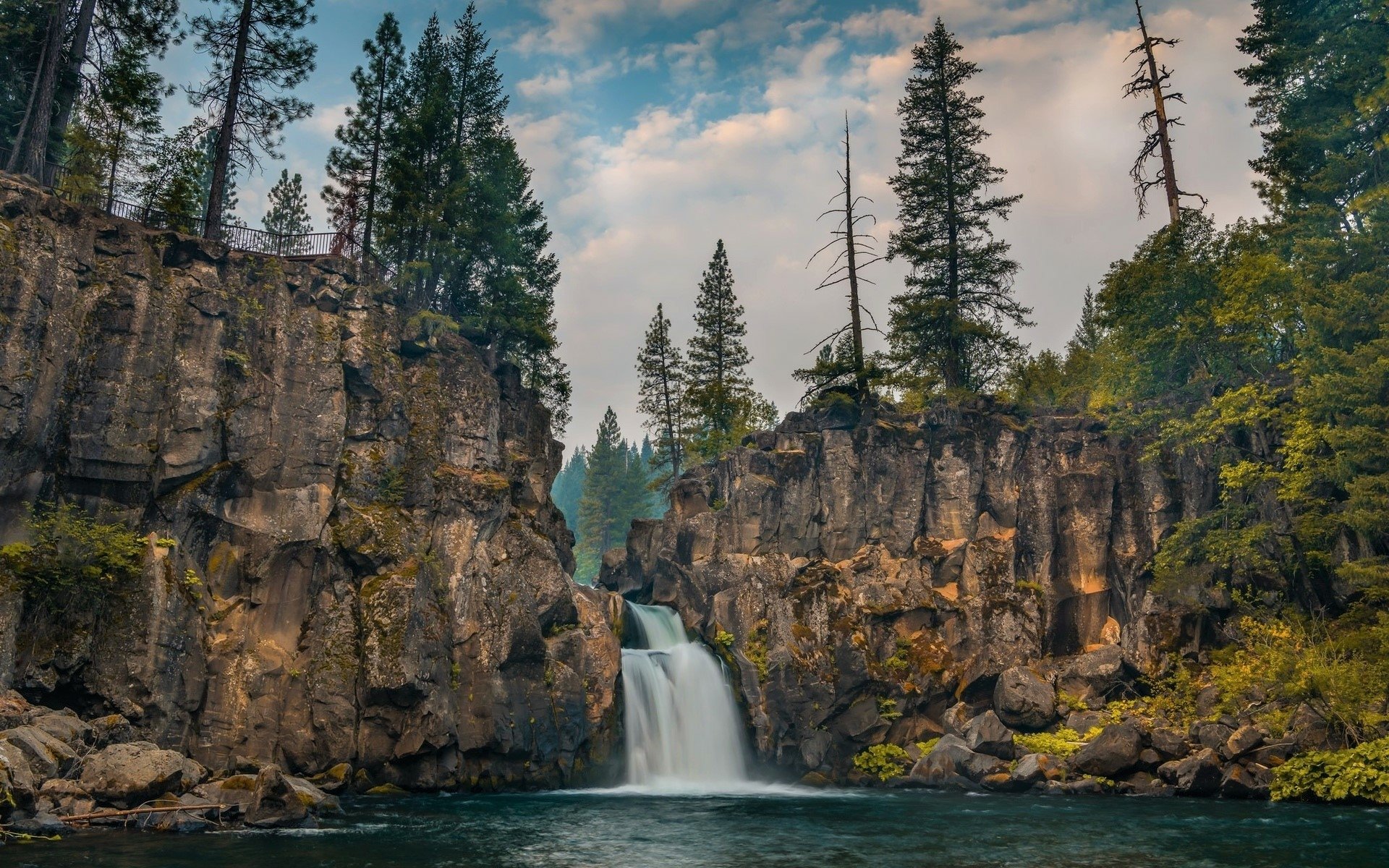 Cascading River in Pine Forest — HD Nature Wallpaper | 1920x1200 ...
