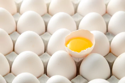 food egg HD Desktop Wallpaper | Background Image