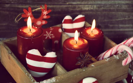 candy cane candle holiday Christmas HD Desktop Wallpaper | Background Image