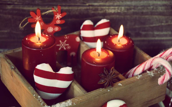 candy cane candle holiday Christmas HD Desktop Wallpaper | Background Image
